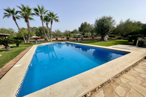 Solariúm junto a la piscina
