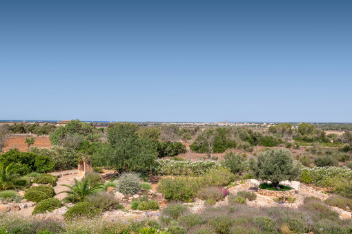 Vistas a la iglesia de Ses Salines