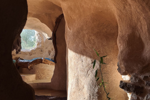 Arquitectura orgánica con vista al baño