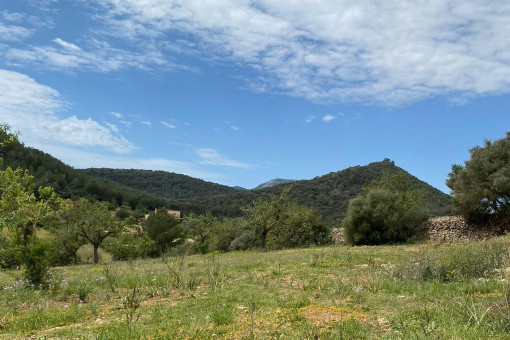 Terreno