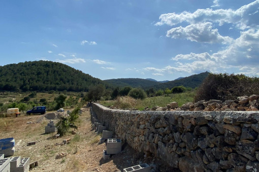 Terreno