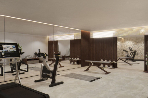 Gimnasio