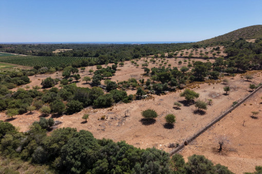 Solar en Manacor-Sur