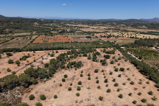 vista panoramica