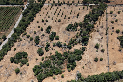 Terreno