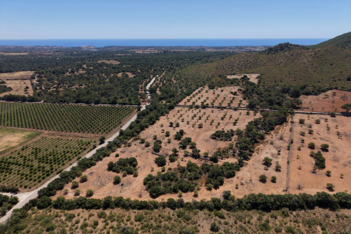 vista aerea