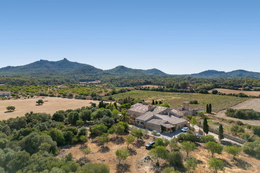 Vistas panoramicas
