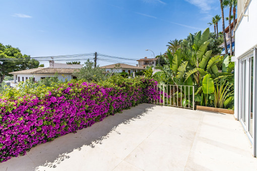 Terraza apartamiento