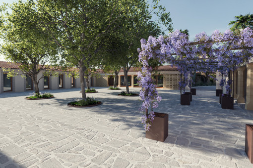 Terraza