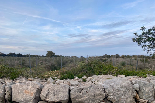Parcela con vistas lejanas