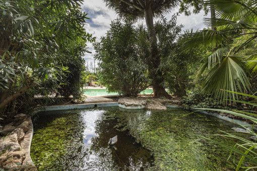 Jardín