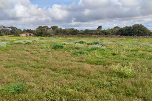 Parcela para finca