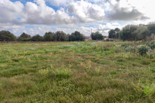 Parcela para finca