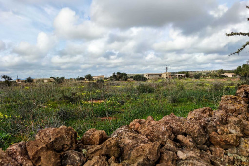 Parcela para finca