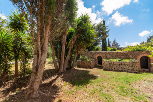 Jardín