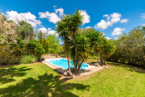 Piscina y jardín