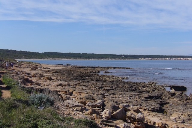 Terreno en primera línea del mar