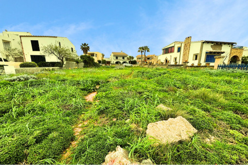Terreno con proyecto