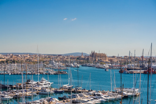 Vistas al puerto