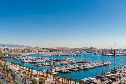 Vistas al Paseo Marítimo