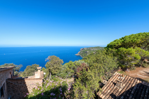 Vistas
