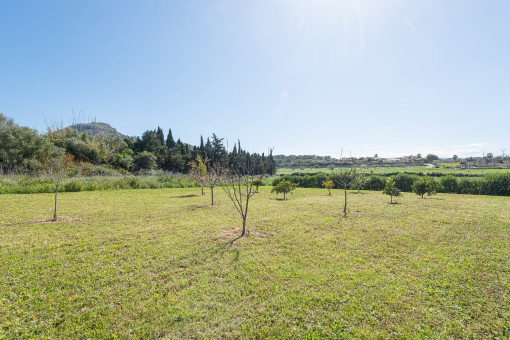 Huerto con árboles frutales y vistas abiertas