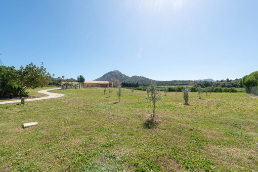 Vista panorámica del terreno con olivos, finca y garaje