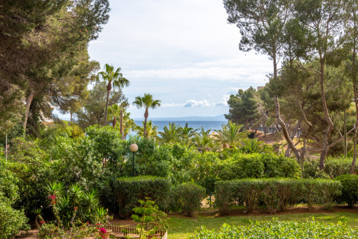 Vistas al mar