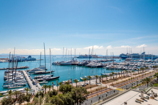 Estudio luminoso con balcón y vistas al mar en el Paseo Marítimo de Palma
