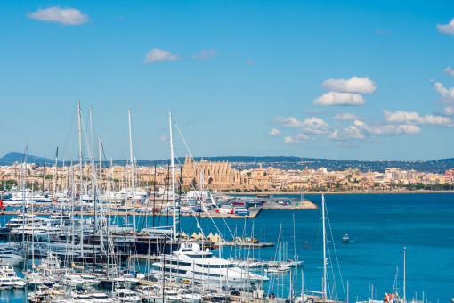 Vistas al puerto