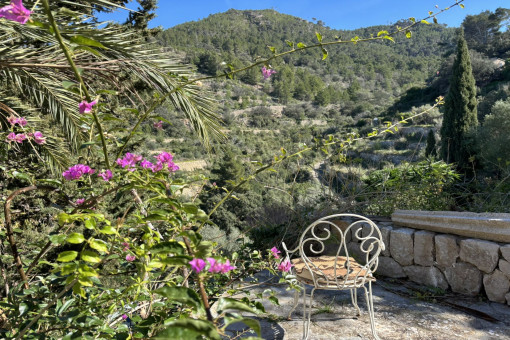 Terrazas con vistas a las montañas