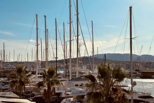 Puerto Deportivo de Palma