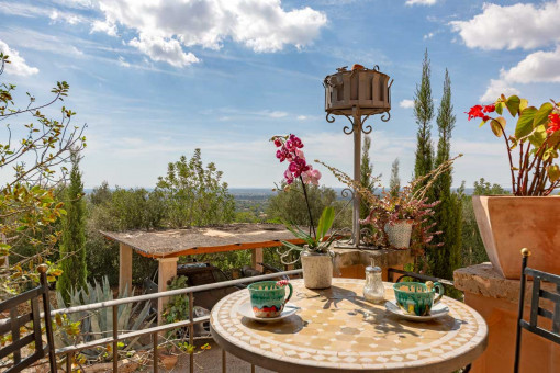 Terraza 
