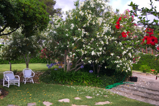 Zona de estar 