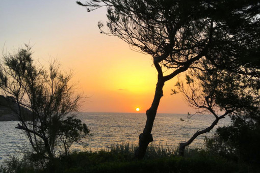Puesta del sol