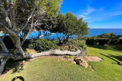 Primera línea de mar 