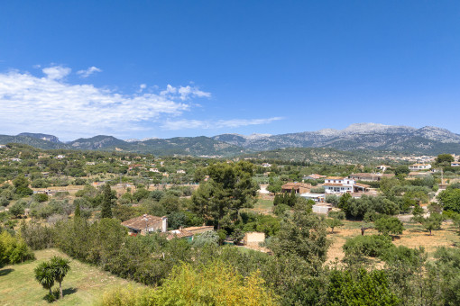 Vista de pajaro