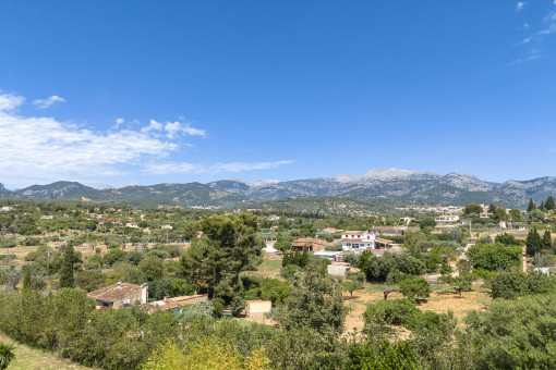 Vista de pajaro