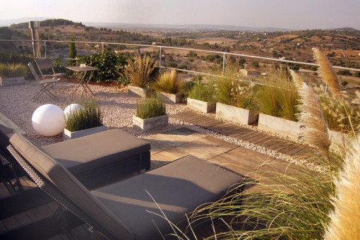 Terraza