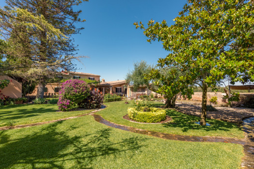 Ampliio Jardín