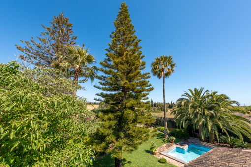 Jardín