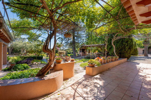 Terraza