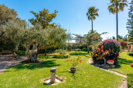 Jardín