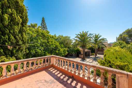 Terraza