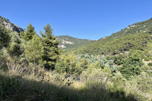 Solar en Valldemossa