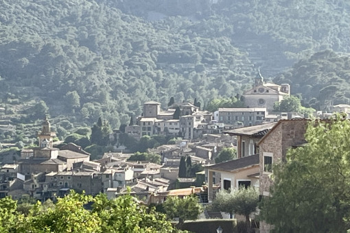 Vistas