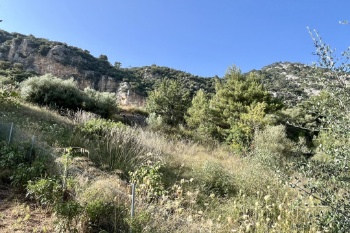 Vistas