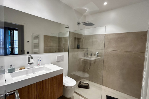 Baño moderno