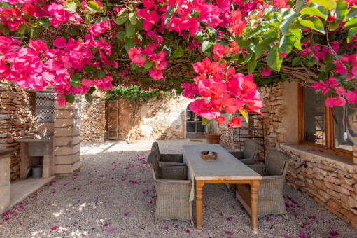 Patio con buganvilla