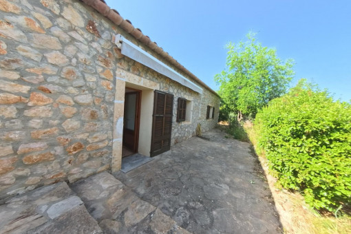 Terraza trasera